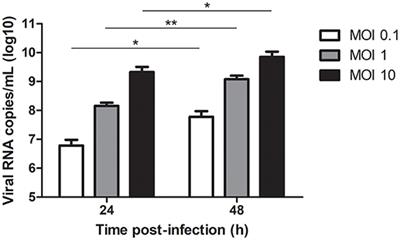 Innate Immune Response of Primary Human Keratinocytes to West Nile Virus Infection and Its Modulation by Mosquito Saliva